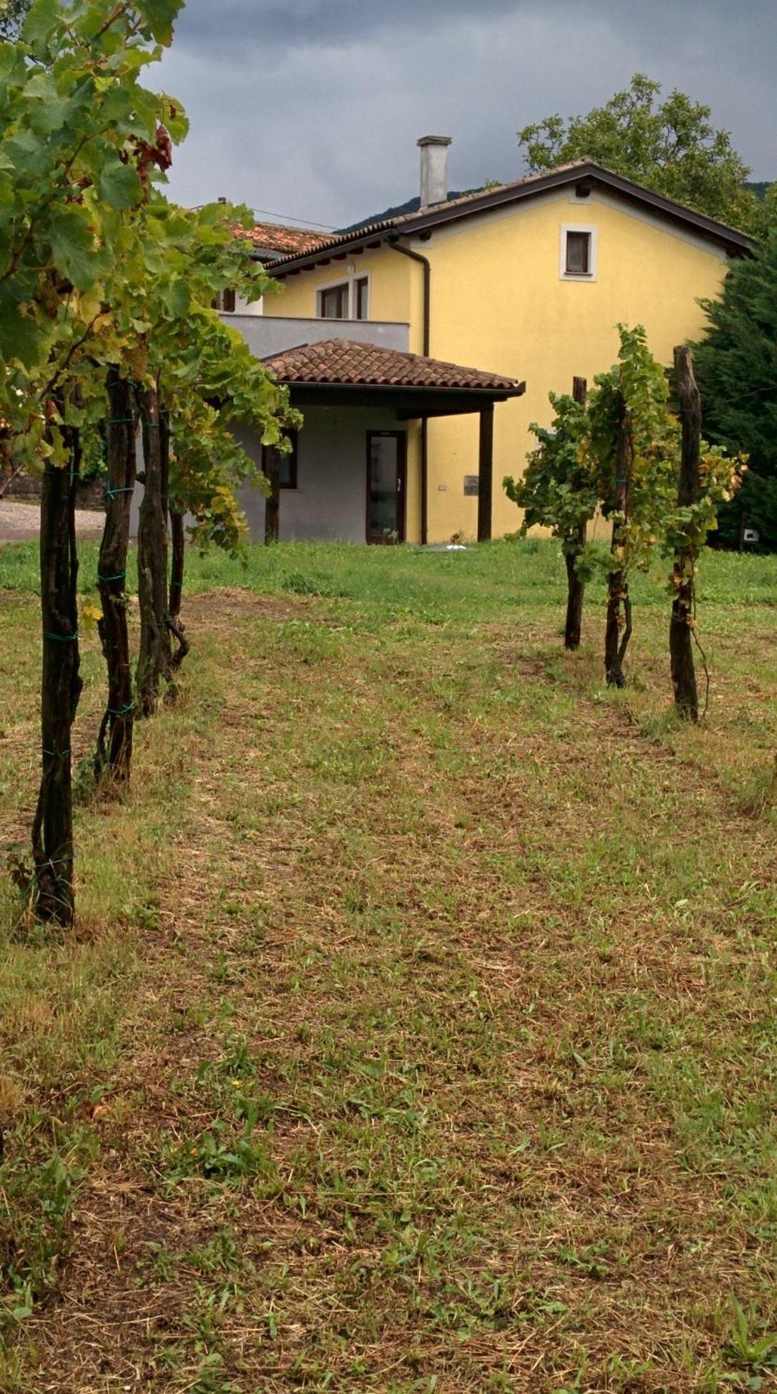 Small House In Vipava Valley Ngoại thất bức ảnh